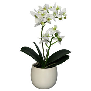 UMĚLÁ KVĚTINA orchidej 34 cm - zelená, bílá