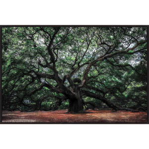 Monee OBRAZ SKLENĚNÝ, stromy, 120/80 cm - vícebarevná