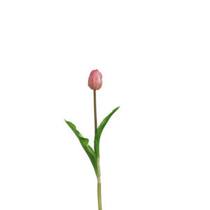 Leonardo UMĚLÁ KVĚTINA, tulipán - pink