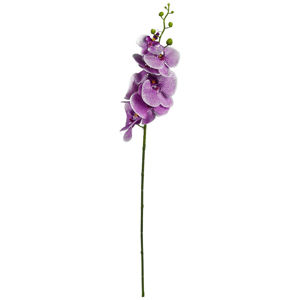 UMĚLÁ KVĚTINA, orchidej