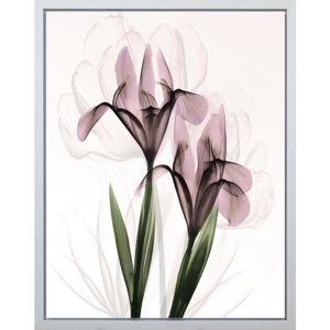 Monee UMĚLECKÝ TISK, květiny, 40/50 cm - zelená, bílá, pink